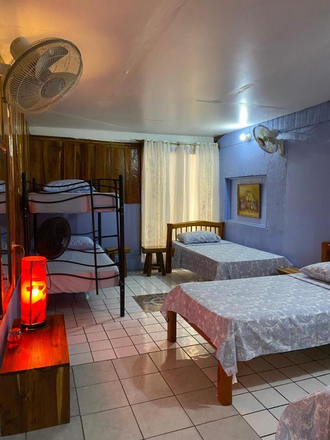Mauras Tropical Mini Hostel & Tours パケラ エクステリア 写真