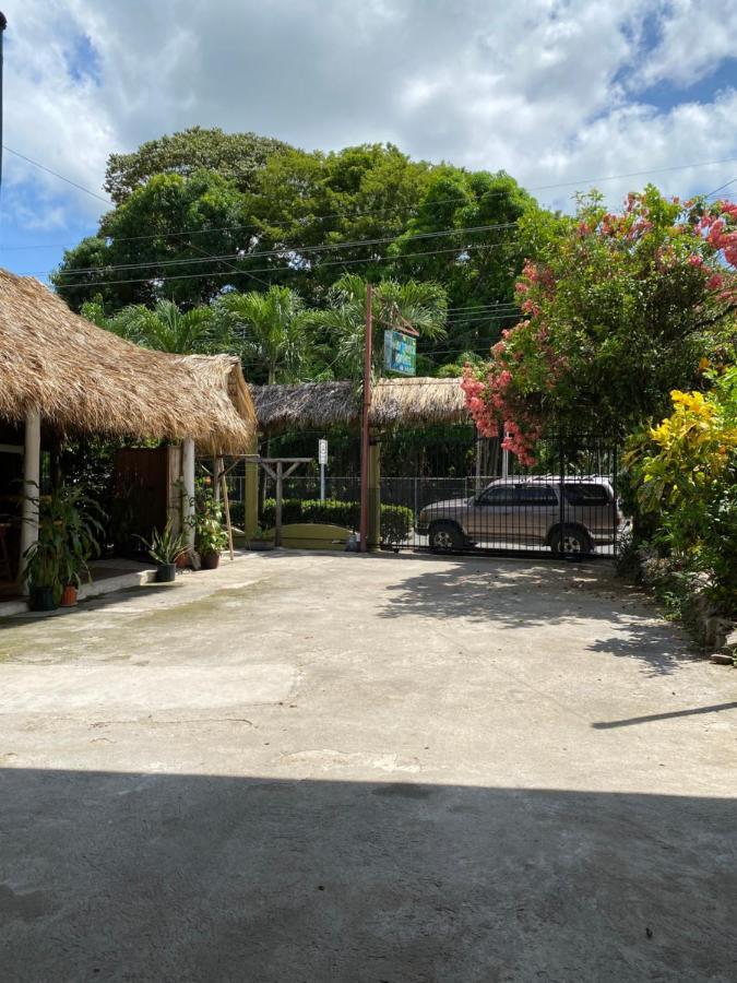 Mauras Tropical Mini Hostel & Tours パケラ エクステリア 写真