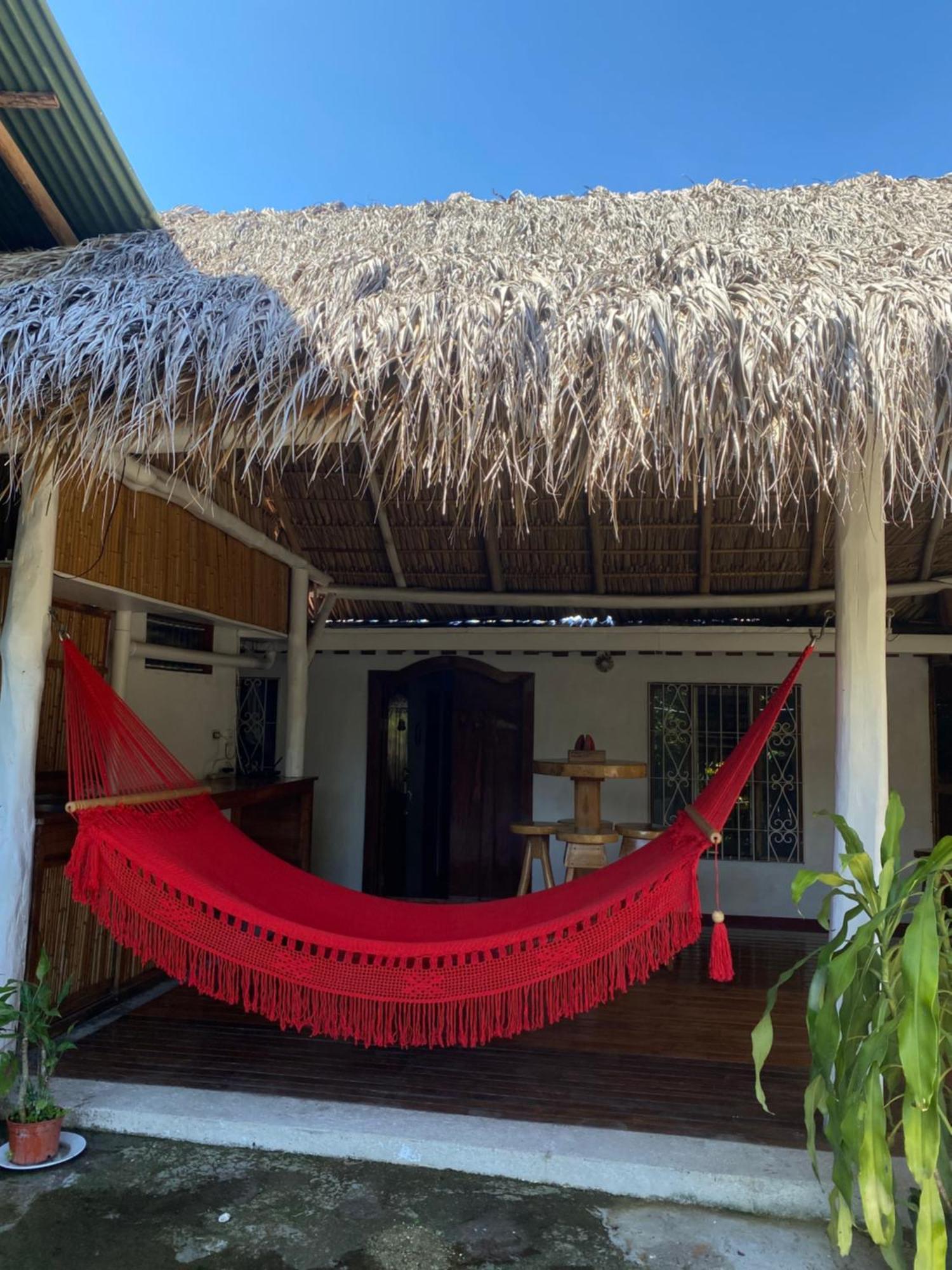Mauras Tropical Mini Hostel & Tours パケラ エクステリア 写真
