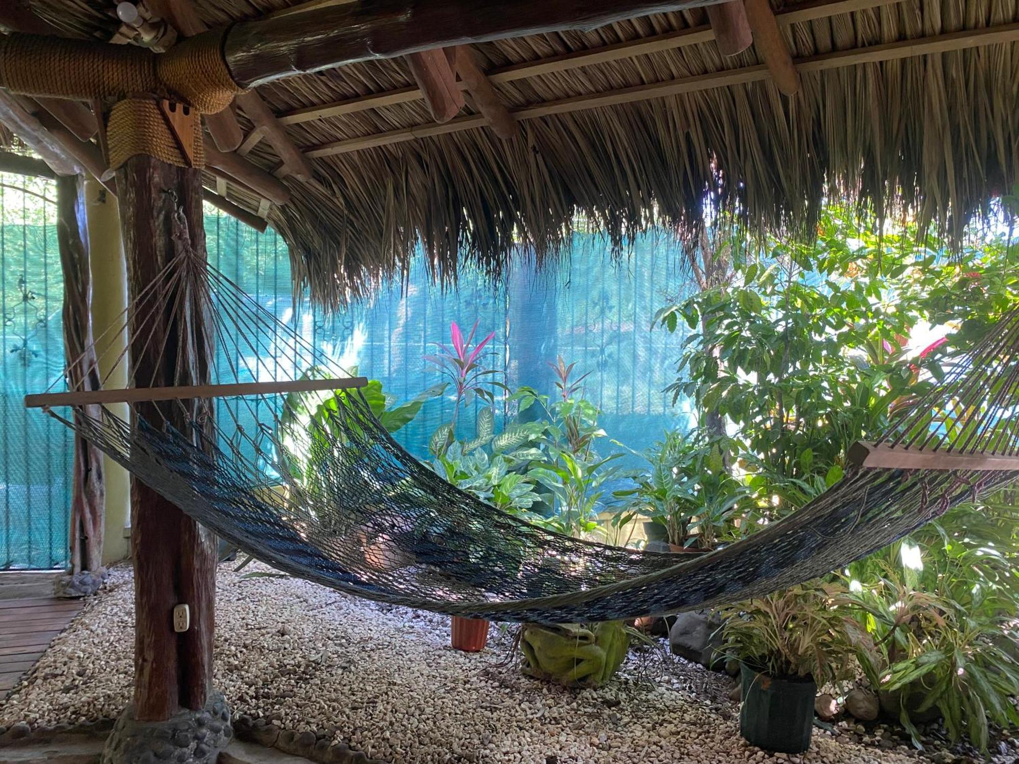 Mauras Tropical Mini Hostel & Tours パケラ エクステリア 写真