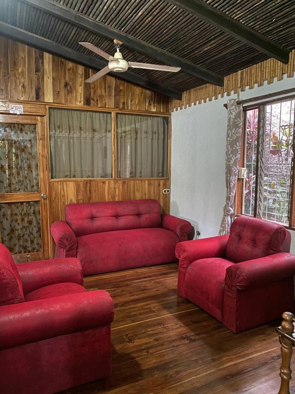 Mauras Tropical Mini Hostel & Tours パケラ エクステリア 写真